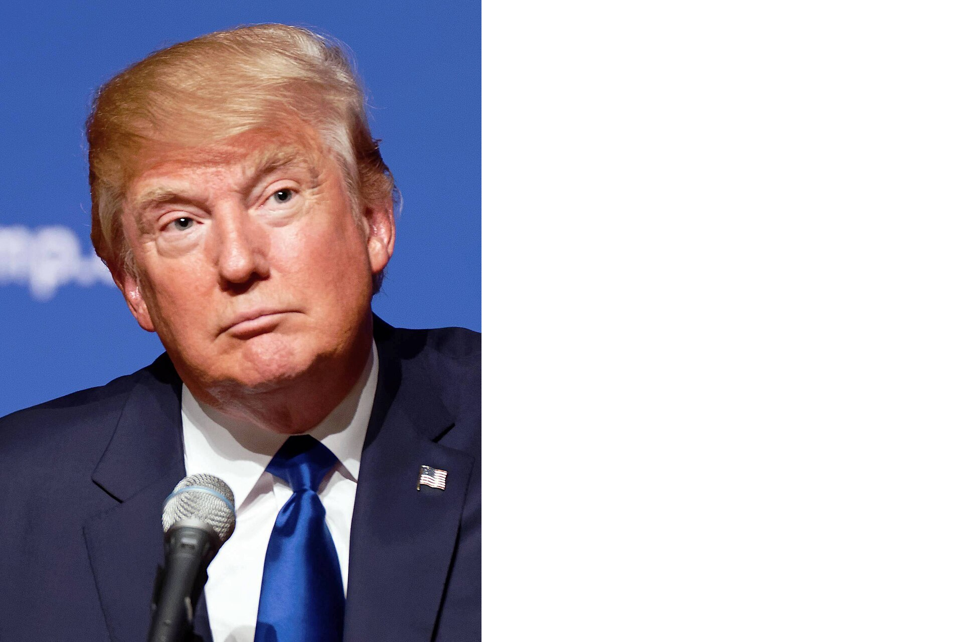 Donald_Trump_August_19,_2015_(cropped)